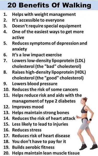 Click to Enlarge

Name: 20 benefits of walking.jpg
Size: 108 KB