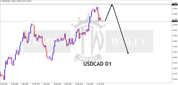Click to Enlarge

Name: USDCADDaily.00a.png
Size: 248 KB