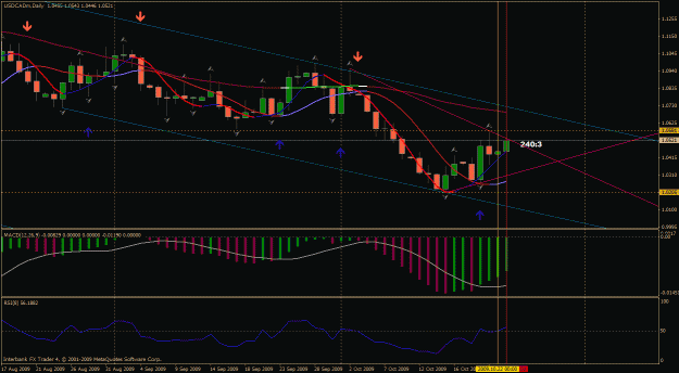 Click to Enlarge

Name: usdcad daily.gif
Size: 32 KB