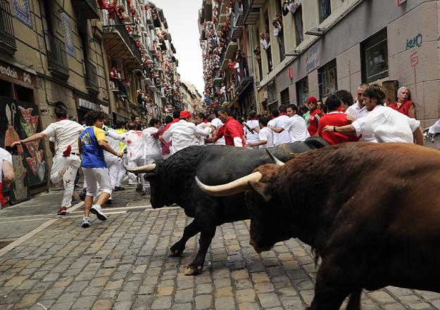 Click to Enlarge

Name: running_with_bulls_2.jpg
Size: 441 KB