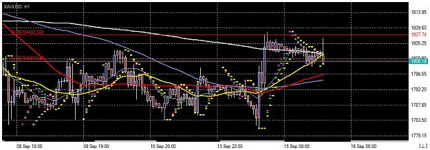 Click to Enlarge

Name: Chart_XAUUSD, H1_20210915_144935.jpg
Size: 162 KB