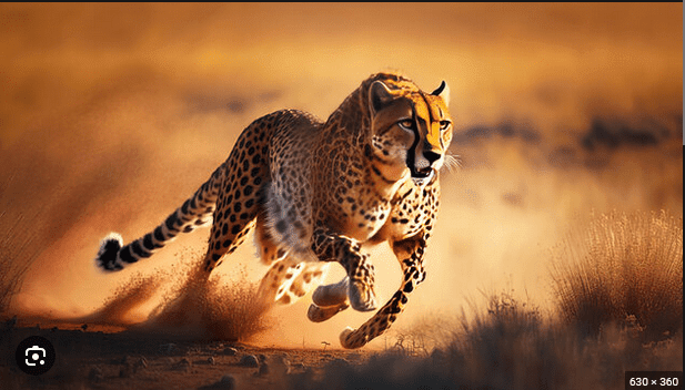 Click to Enlarge

Name: Cheetah_01.png
Size: 119 KB